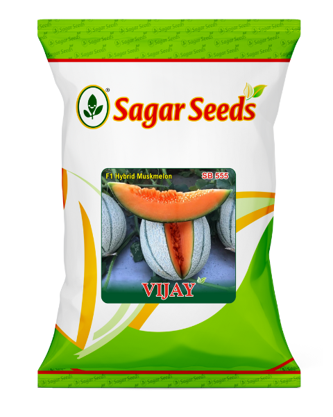 Buy Sagar Vijay F1 Muskmelon Get Sagar Kavya F1 Cucumber FREE