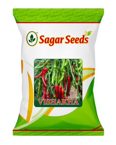 Sagar Vishakha F1 chilli Seeds