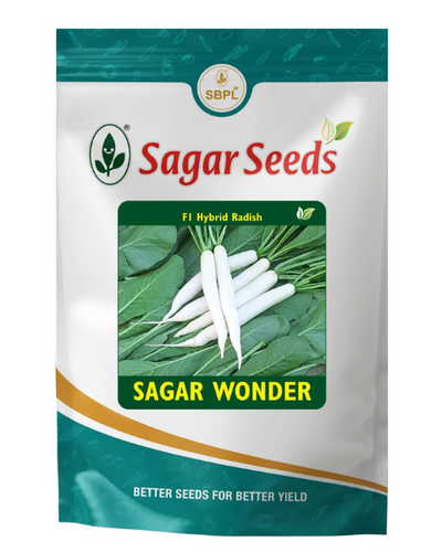 Sagar Wonder F1 Radish Seeds