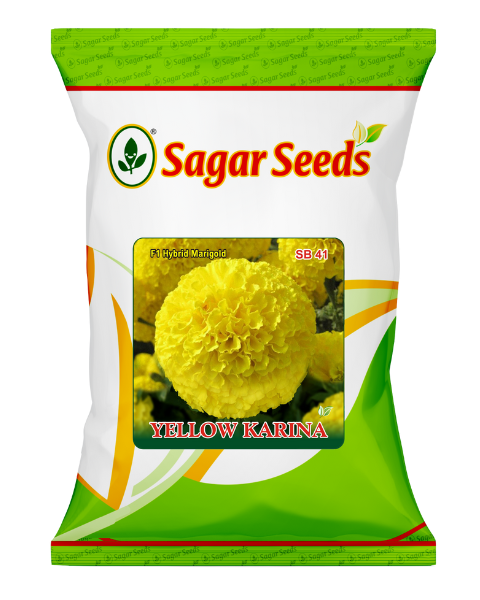 Sagar Yellow Karina F1 Marigold