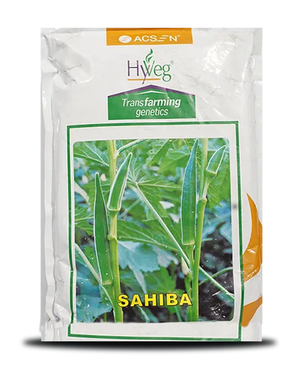 SAHIBA OKRA SEEDS ( साहिबा भिंडी )