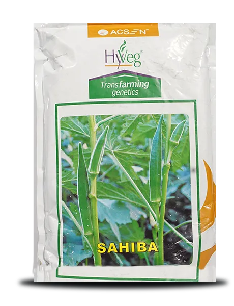 SAHIBA OKRA SEEDS ( साहिबा भिंडी )