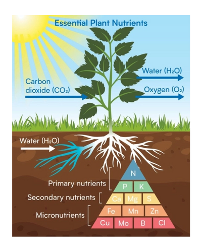 SAKAL SAMRIDDHI ORGANIC LIQUID NUTRIENT