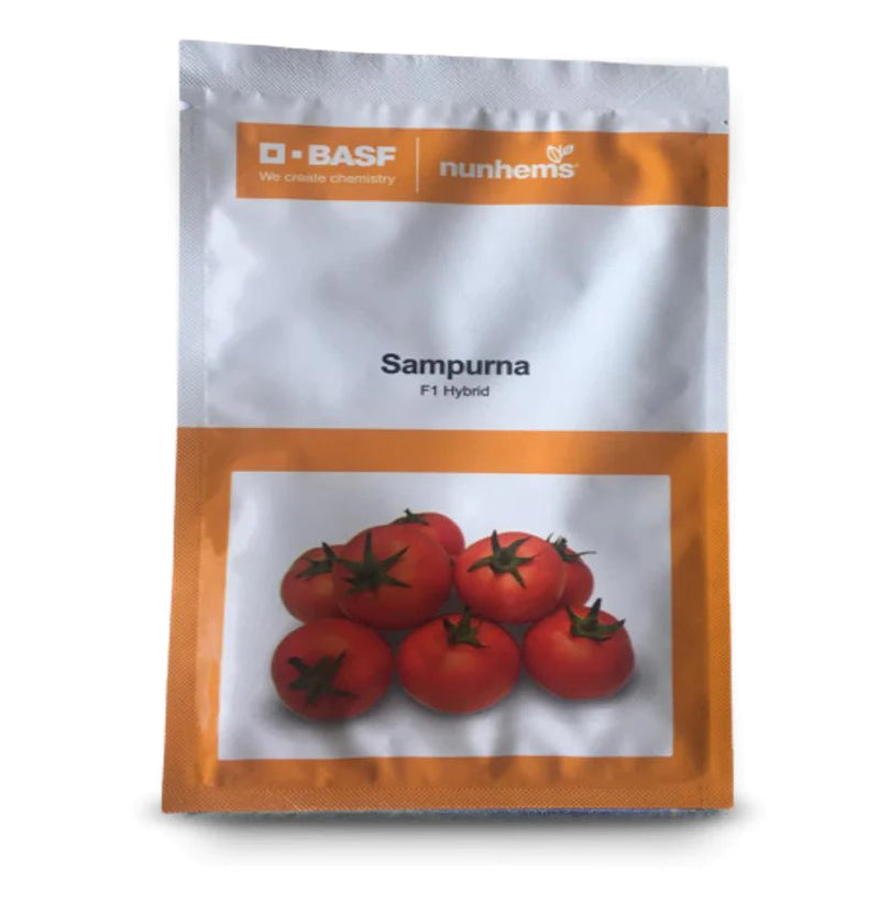 SAMPURNA TOMATO SEEDS