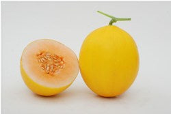 SANVI MUSKMELON