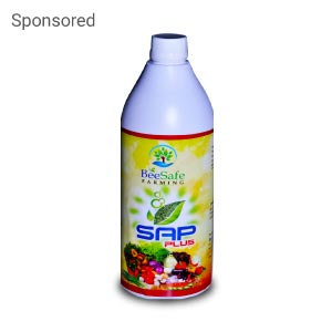 SAP Plus Bio Insecticide