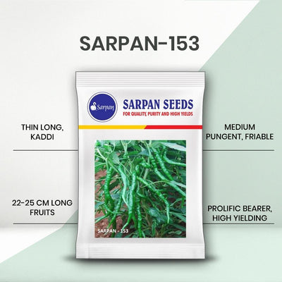 SARPAN 153 DUAL CHILLI (GREEN & RED) (SEEDS)