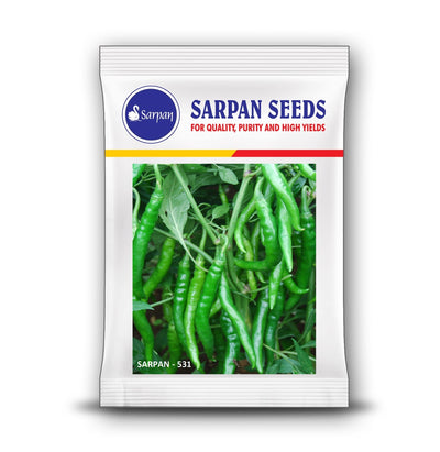 SARPAN 531 CHILLI (SEEDS)