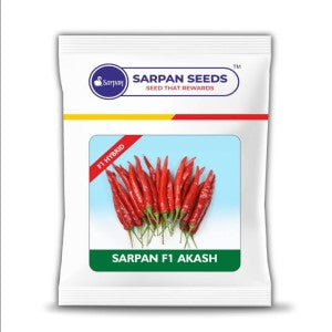 SARPAN AKASH CHILLI SEEDS