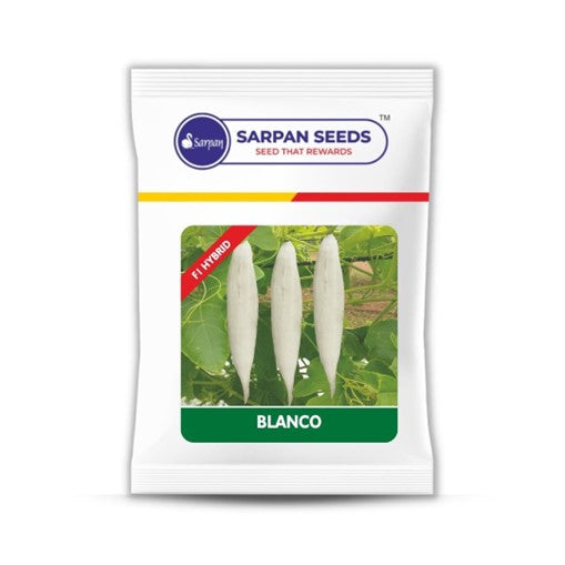 SARPAN BLANCO short Snakegourd