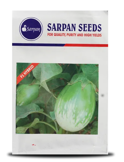 SARPAN BRINJAL KUDACHI 501 HYBRID SEEDS