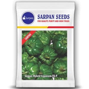 SARPAN CAPSICUM HYBRID TX-9 (SEEDS)