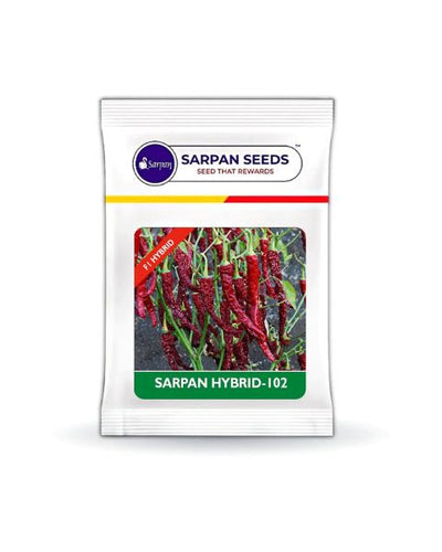 SARPAN - 102 BYADGI CHILLI