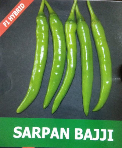 SARPAN CHILLI BAJJI SEEDS