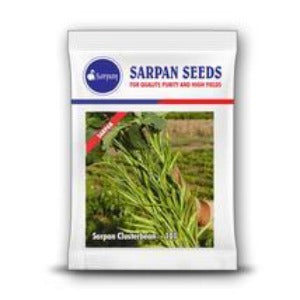 SARPAN CLUSTER BEANS - 101 (SEEDS)