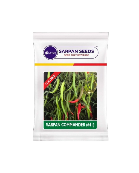 SARPAN COMMANDER(641) CHILLI SEEDS