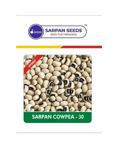 SARPAN COWPEA - 30