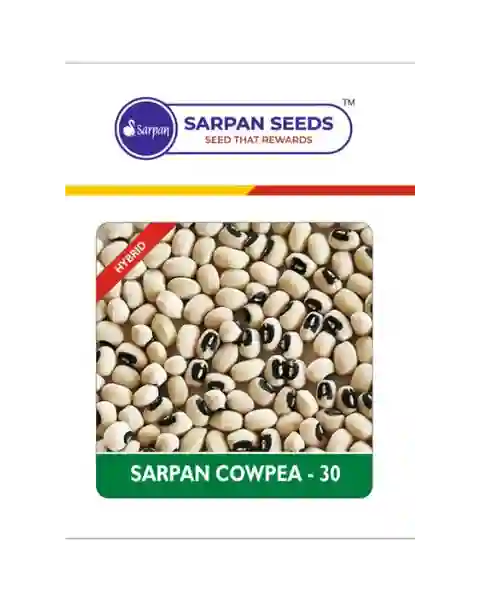 SARPAN COWPEA - 30