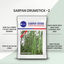 SARPAN DRUMSTICK SD - 2 (SEEDS)