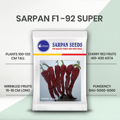 SARPAN F1 92 CHILLI SEEDS