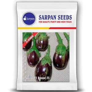 SARPAN F1 BRINJAL-25 (SEEDS)