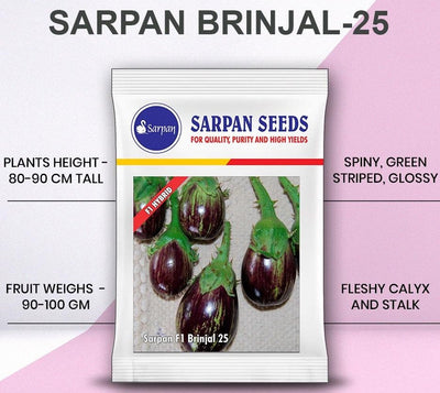 SARPAN F1 BRINJAL-25 (SEEDS)