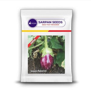 SARPAN BRINJAL-65 (SEEDS)