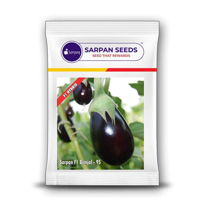 SARPAN HYBRID F1 BRINJAL-95 (SEEDS)