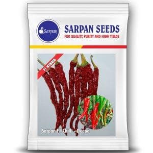 SARPAN HYBRID F1 CHILLI DEEPA (SEEDS)