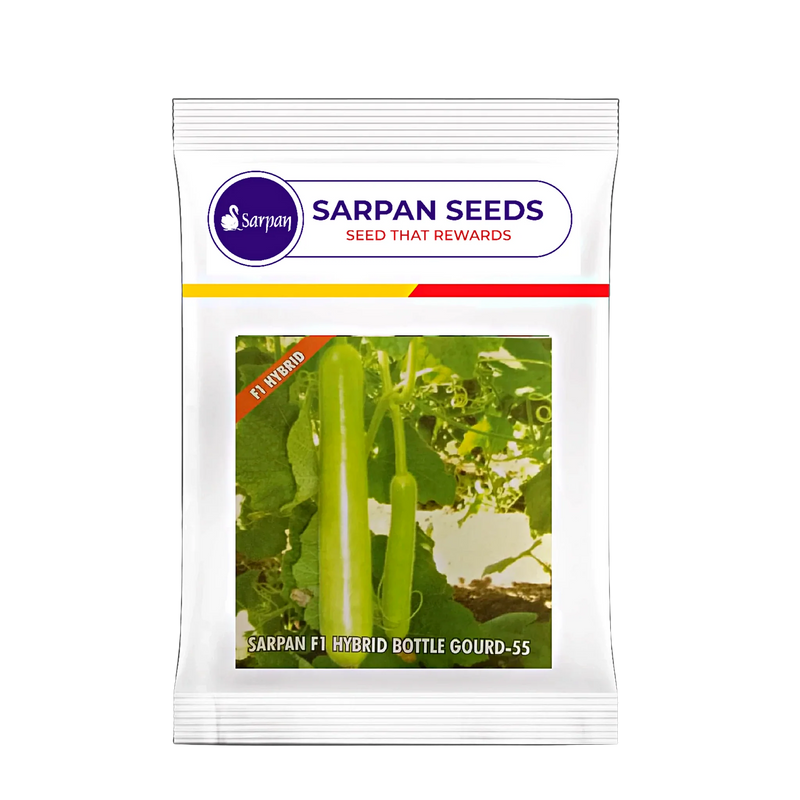 SARPAN HYBRID BOTTLE GOURD- 55 (SEEDS)