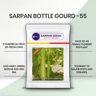 SARPAN HYBRID BOTTLE GOURD- 55 (SEEDS)