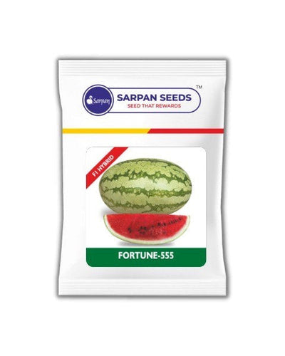 SARPAN FORTUNE-555 Watermelon