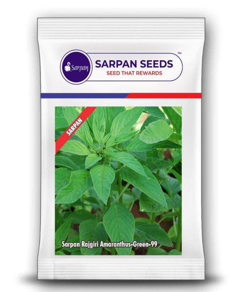 SARPAN GREEN - AMARANTHUS (MULTICUT VARIETY)