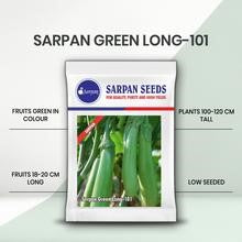 SARPAN HYBRID GREEN BRINJAL LONG-101 (SEEDS)