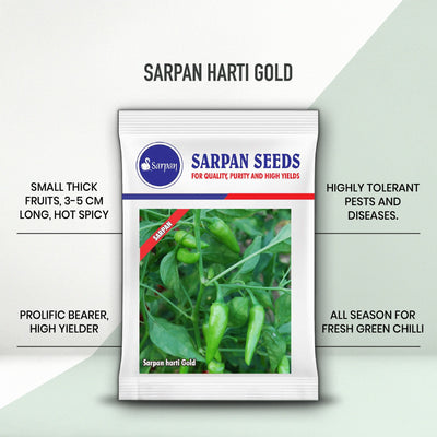 SARPAN HARTI GOLD - GREEN CHILLI (SEEDS)