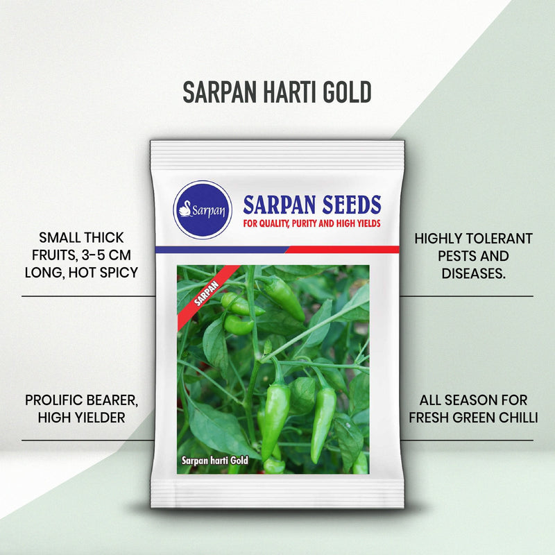 SARPAN HARTI GOLD - GREEN CHILLI (SEEDS)