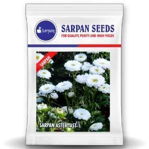 SARPAN HYBRID ASTER - AST-1 (SEEDS)