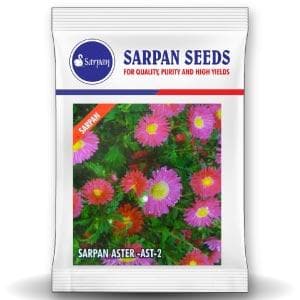 SARPAN HYBRID ASTER - AST-2 (SEEDS)