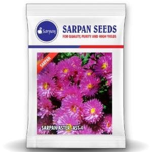 SARPAN HYBRID ASTER - AST-4 (SEEDS)