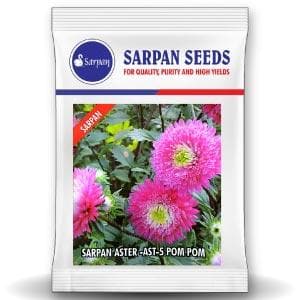 SARPAN HYBRID ASTER-AST-5 POM POM (SEEDS)