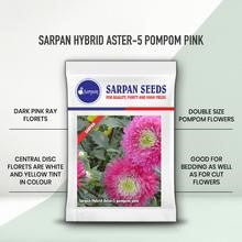 SARPAN HYBRID ASTER-AST-5 POM POM (SEEDS)