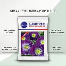 SARPAN HYBRID ASTER - AST-6 POMPOM (SEEDS)