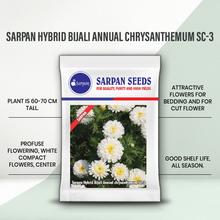 SARPAN HYBRID CHRYSANTHEMUM (BIJALI WHITE) SEEDS