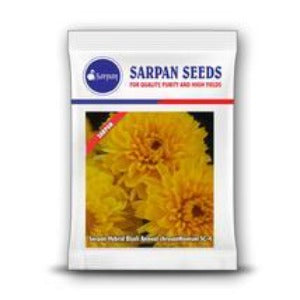 SARPAN HYBRID CHRYSANTHEMUM (BIJALI YELLOW) SEEDS