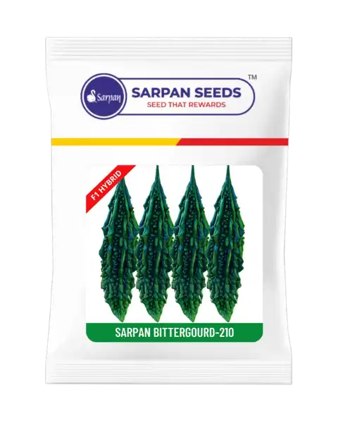 SARPAN HYBRID BITTER GOURD-210 (SEEDS)