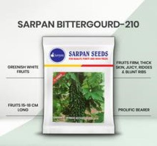 SARPAN HYBRID BITTER GOURD-210 (SEEDS)