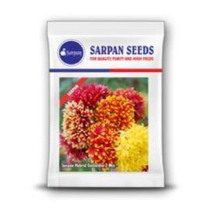 SARPAN HYBRID GAILARDIA - 2 MIX