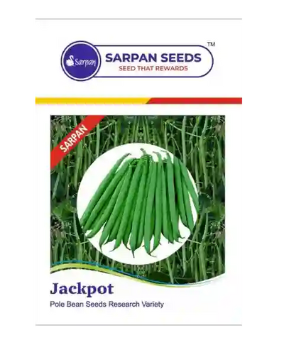 SARPAN JACKPOT POLEBEANS