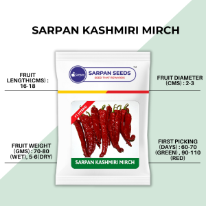 SARPAN KASHMIRI MIRCH SEEDS