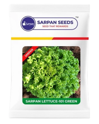 SARPAN LETTUCE - 101 GREEN